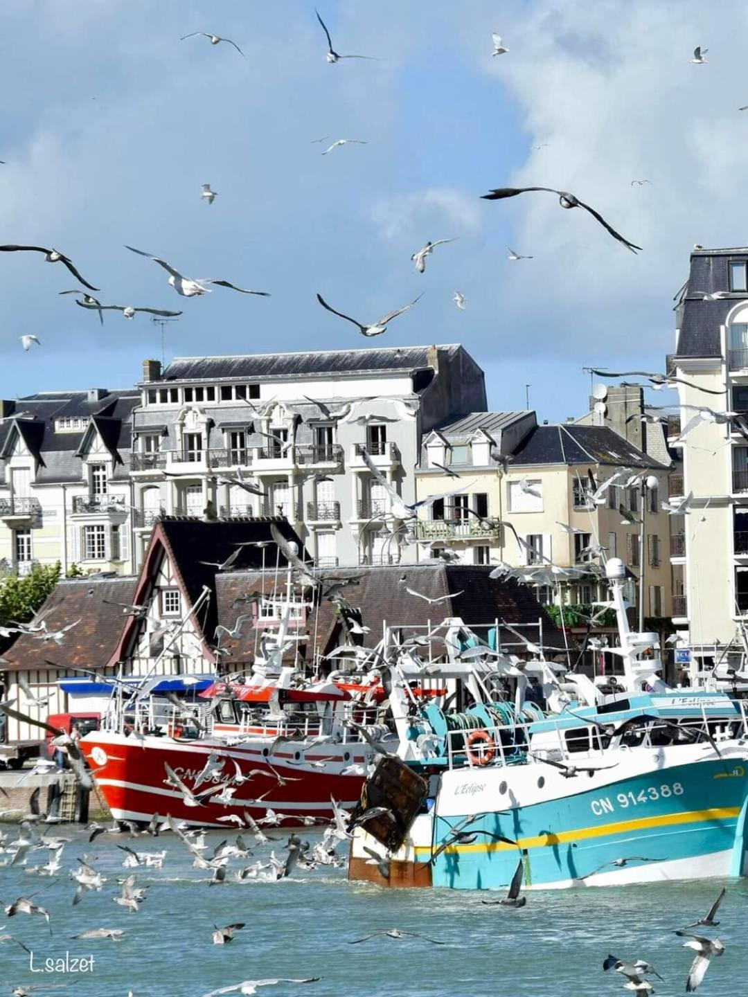 Studio De Charme A Trouville Sur Mer. Exteriör bild